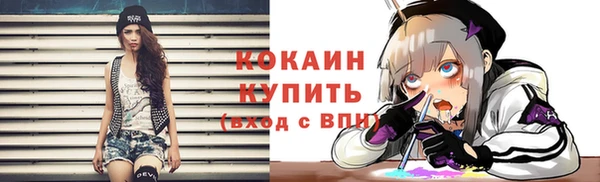 твердый Ельня