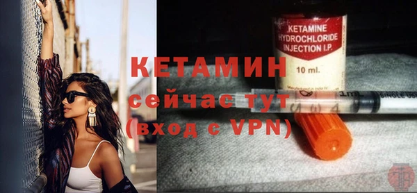 твердый Ельня