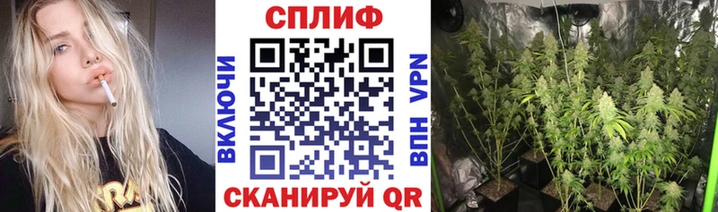 Купить где  Печоры  Конопля марихуана 